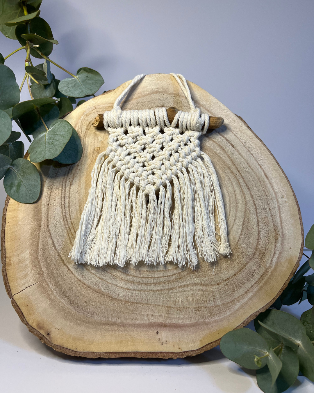 Mini Macramé Wall Hanging – Boho Driftwood Decor